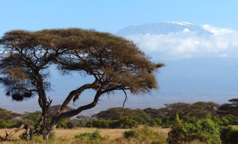 Vacanza in Kenya: tutto quello che devi sapere
