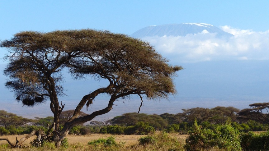 Vacanza in Kenya: tutto quello che devi sapere