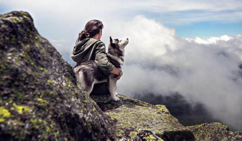 Vacanza in montagna con cane: natura, avventura e coccole