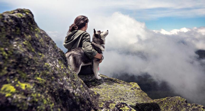 Vacanza in montagna con cane: natura, avventura e coccole