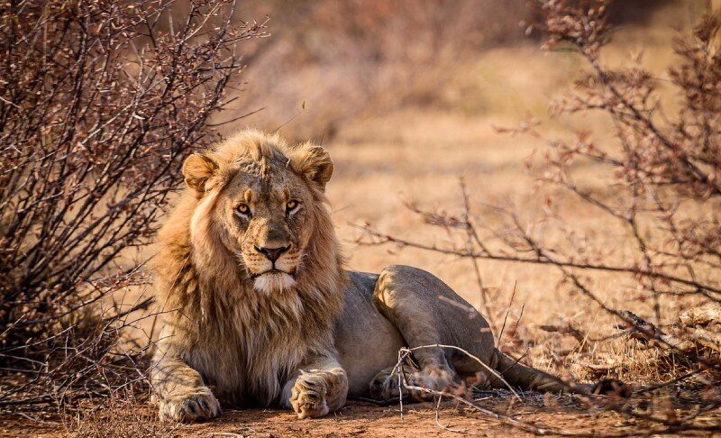 Vacanza in Africa: un sogno a portata di mano